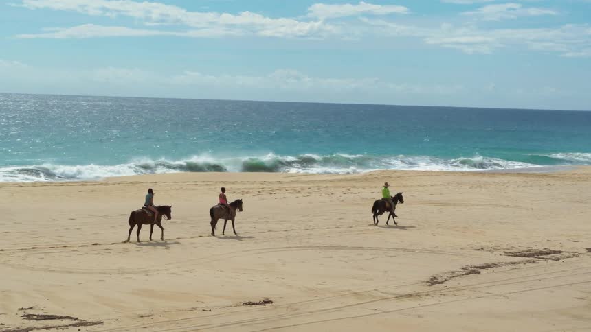 Three people ride horses on the beach