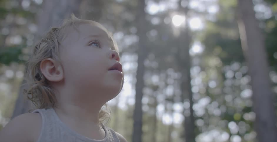 A young child looks up by tall trees
