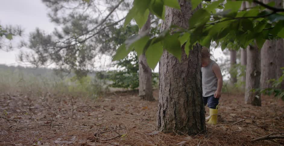 A child is standing behind a tree