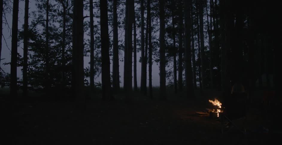 A fire is burning in the woods at dawn