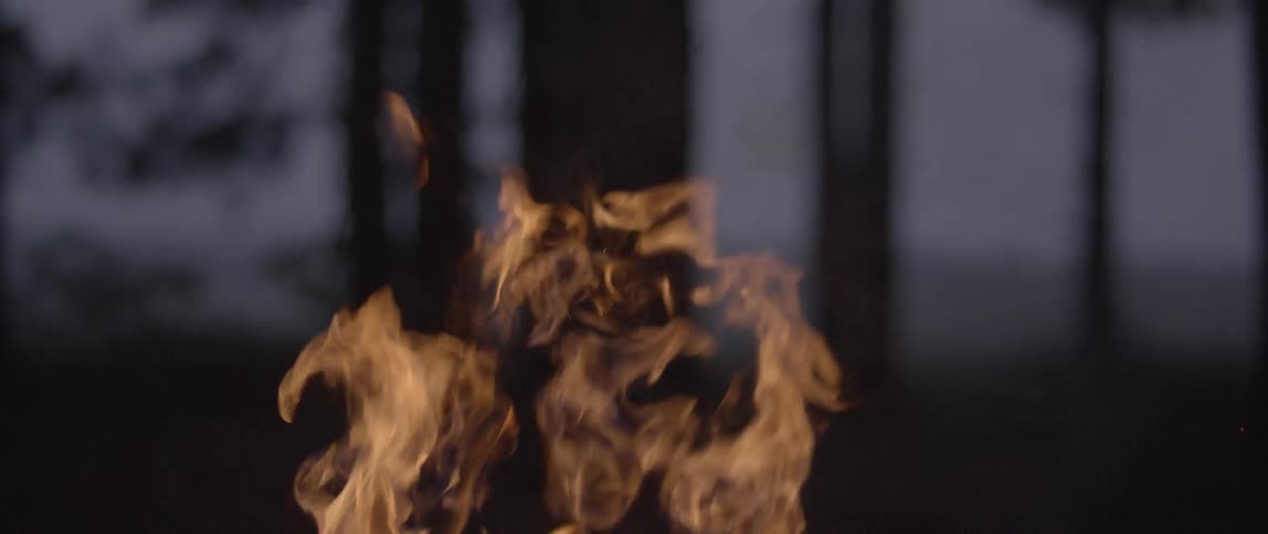Flames are rising from a campfire in a forest at dusk