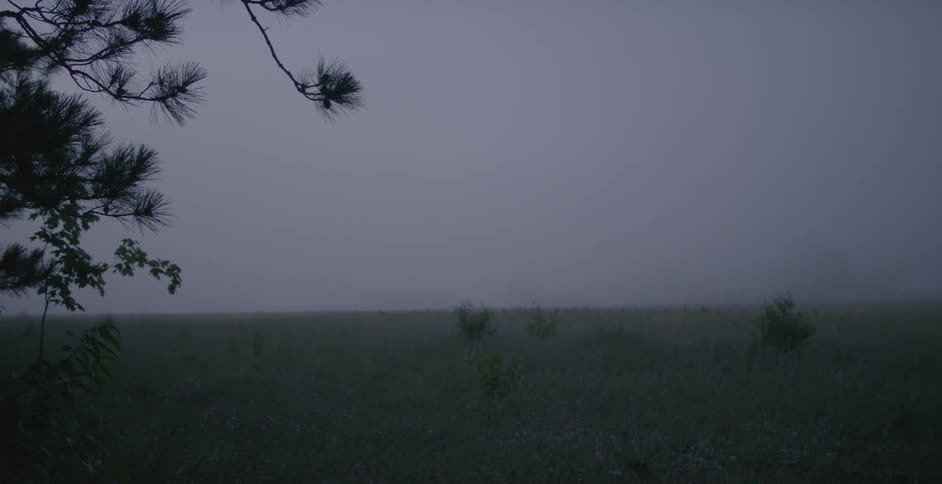 A gray sky over a grassy hill