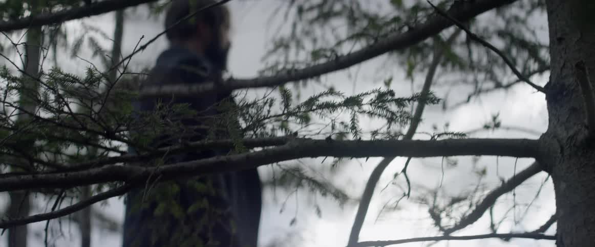 A bearded man stares outward while standing under a tree