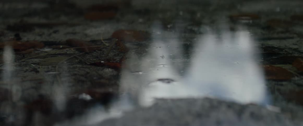 Light is reflected off of a small pool of water in nature