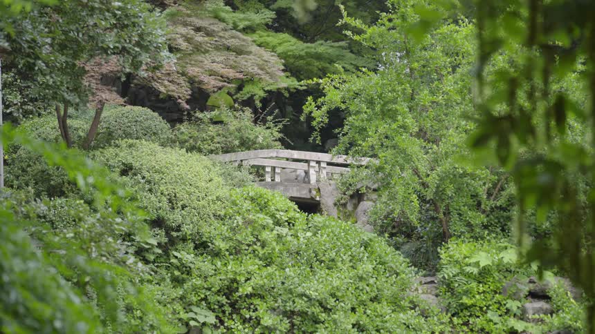 A man is jogging along a path in a park-like setting during the day