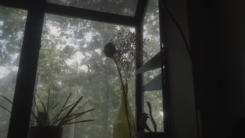 Flowers it in a vase by a bay window