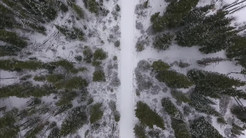 Overhead view of a snow-covered road in the wilderness