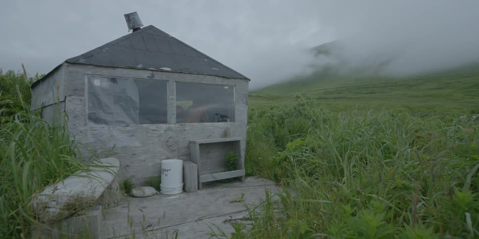 A small shack sits in a field on a foggy day