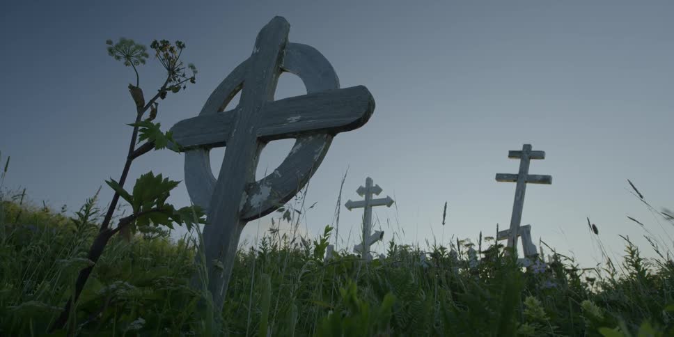 Overgrown grave markers
