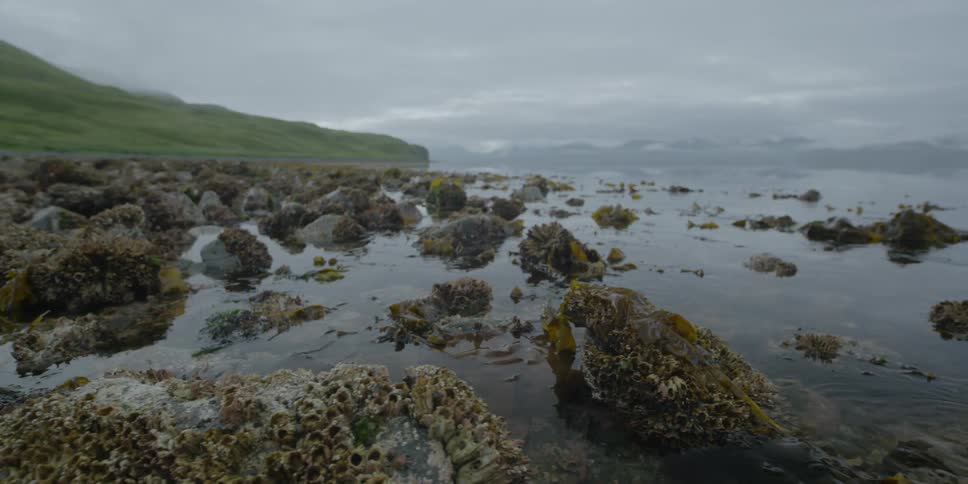 Cloudy day over beach rocks