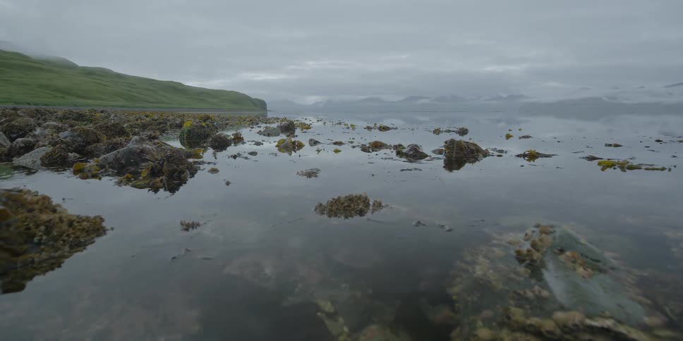 Cloudy day over beach rocks
