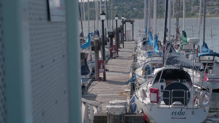 Boats bobbing near a dock