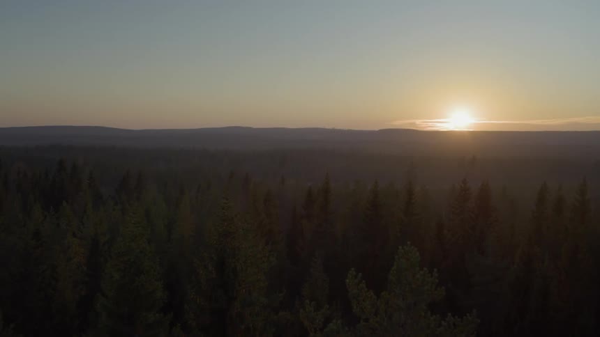 The sun shines over the tree covered landscape