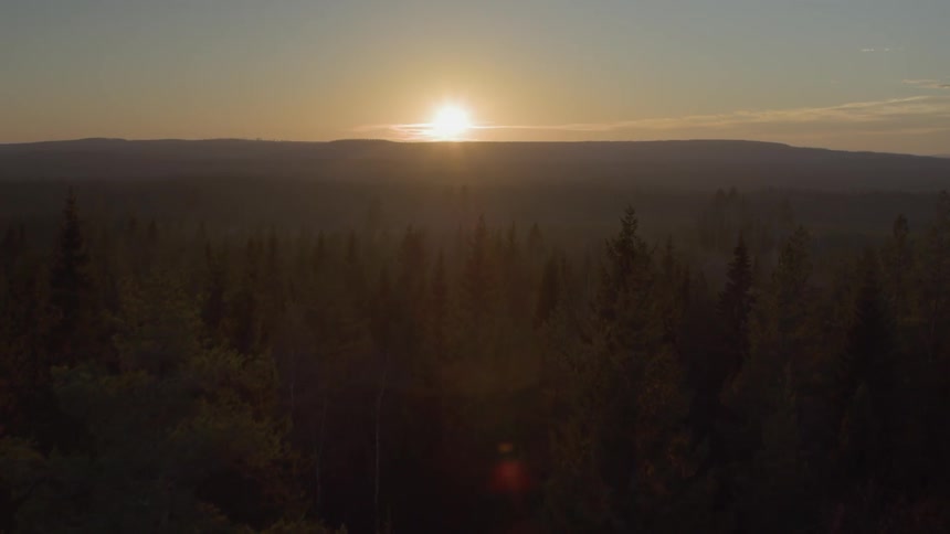 The sun sets over a mountain forest