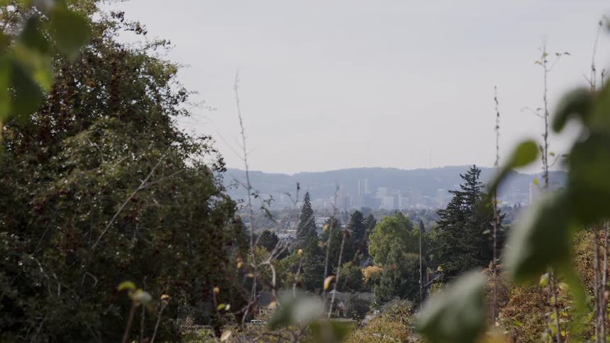 The valley ahead is full of flowers and trees