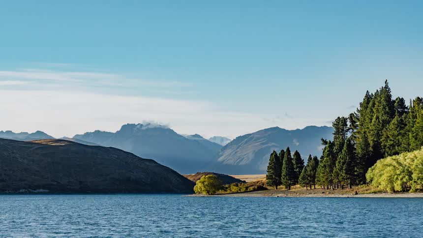 A mountainside lake by a grove of trees