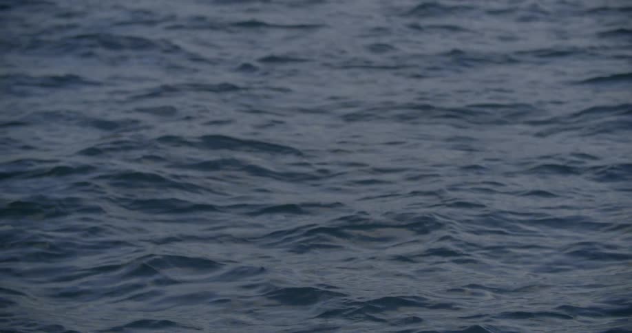 A calm ocean