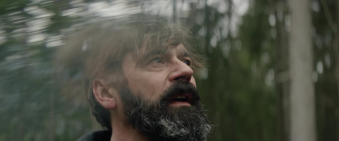 A bearded man in the forest