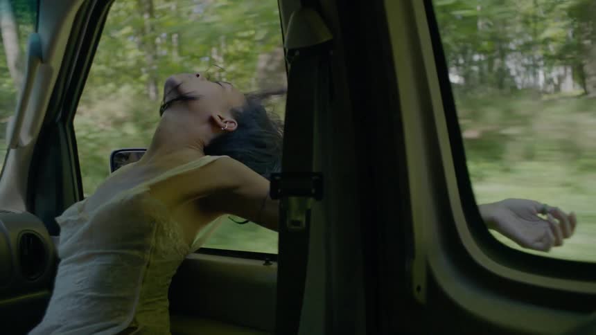 A woman leans her head and arms out the car window