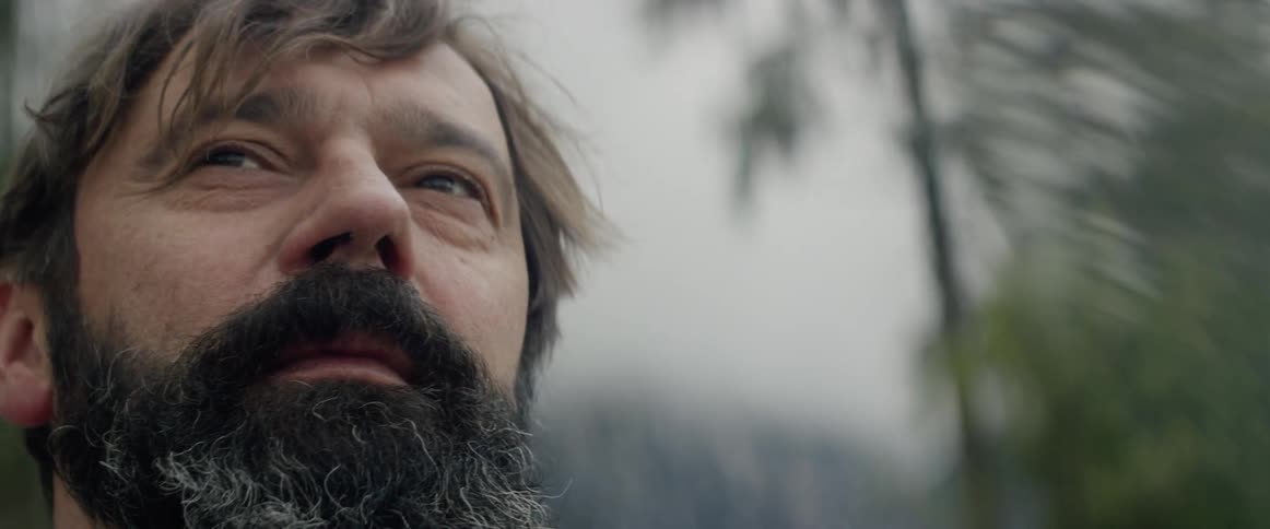 A bearded man in the woods