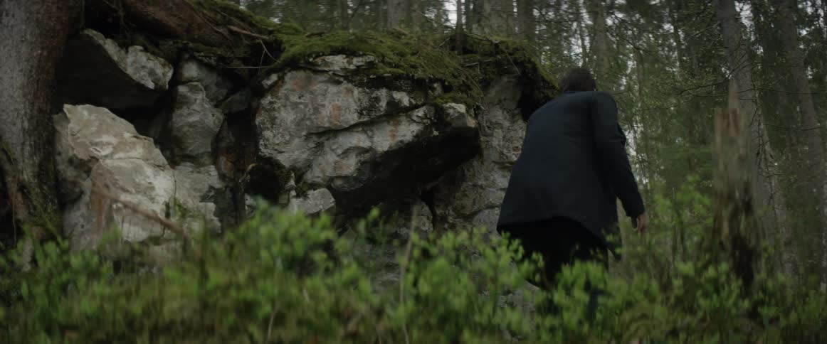 Man walks alone in a forest