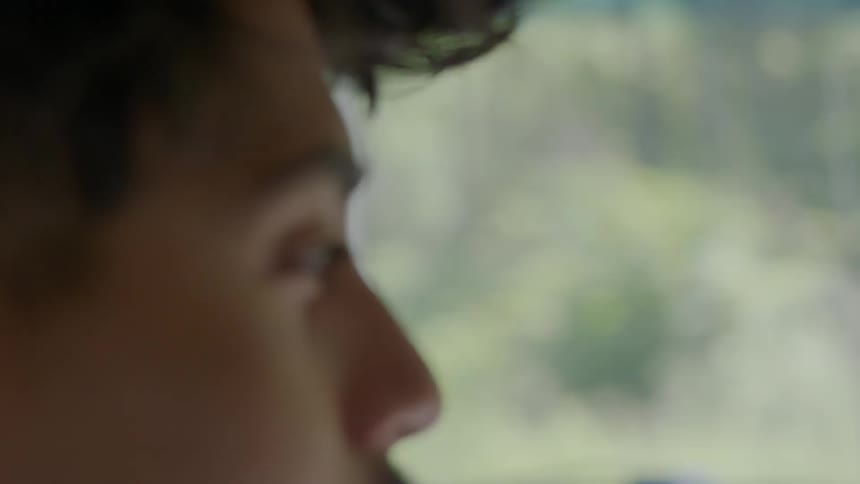A woman's hair blows in the wind from the open car window
