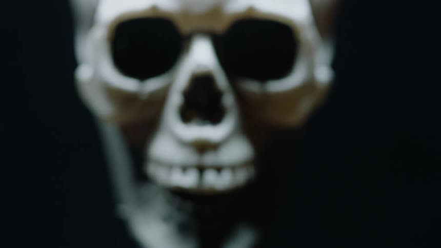 A skull