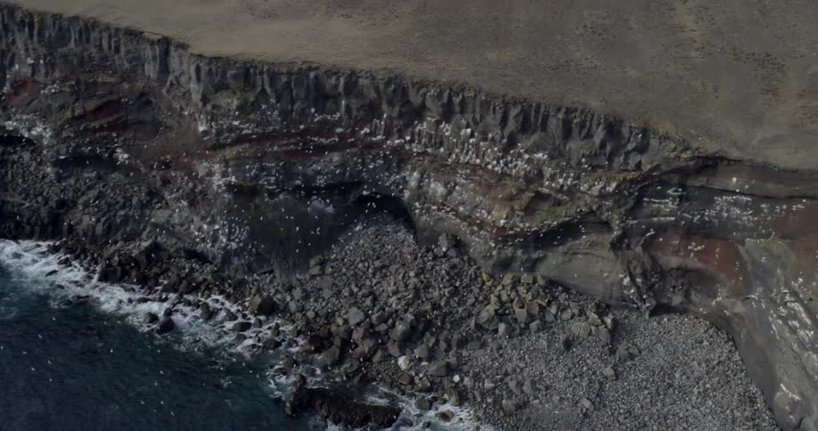 A flock of birds is flying near cliffs on a rocky coastline during the day