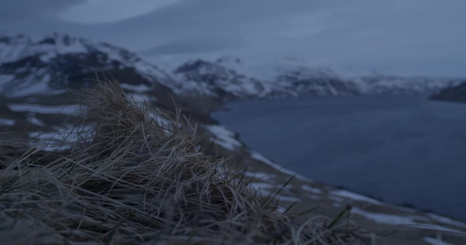 Grass is blowing in the wind on top of a mountain