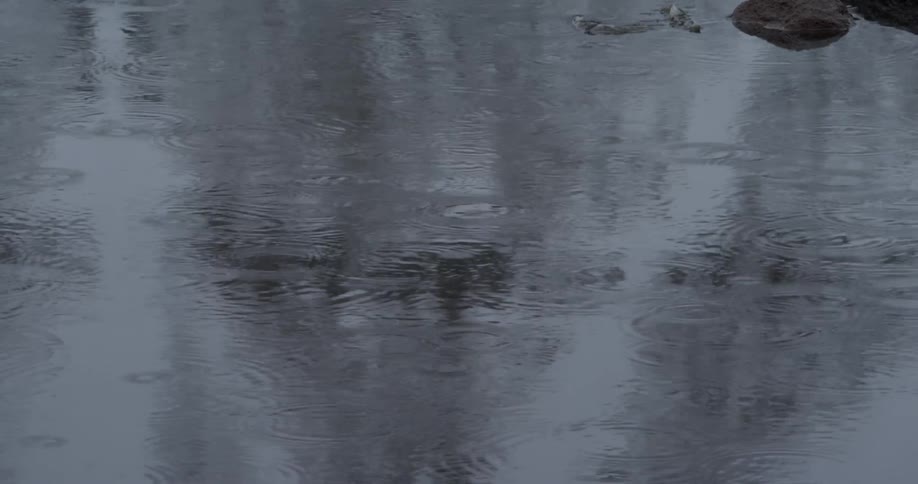 Rain falls on a lake