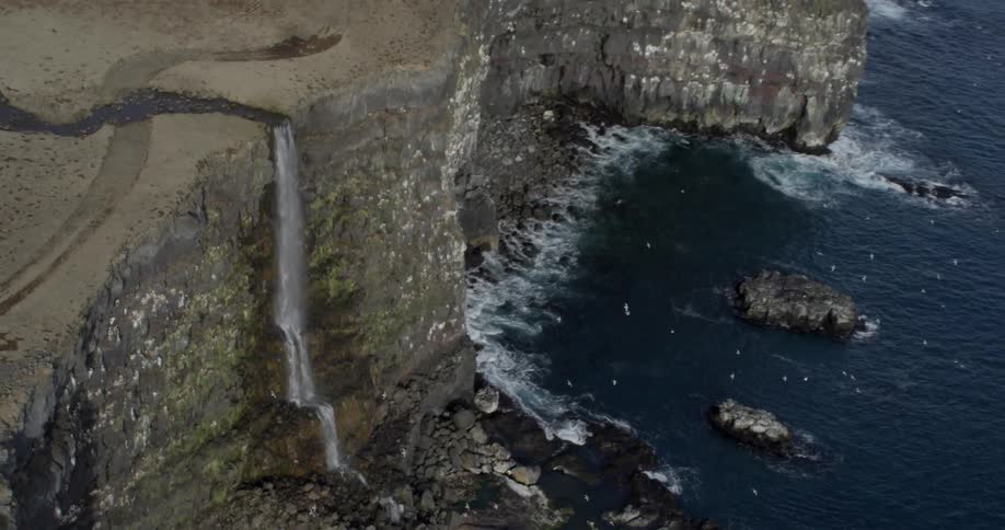 Birds are flying near coastal cliffs and a waterfall during the day