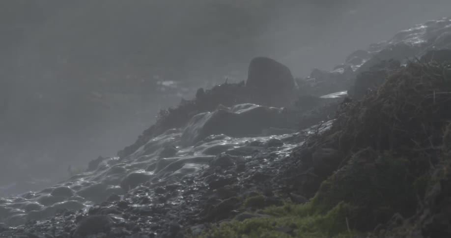 A tiny stream is flowing down some rocks