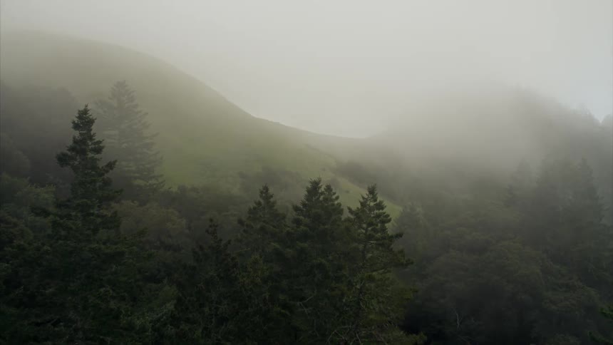 Fog is drifting over a mountainside and forest during the day