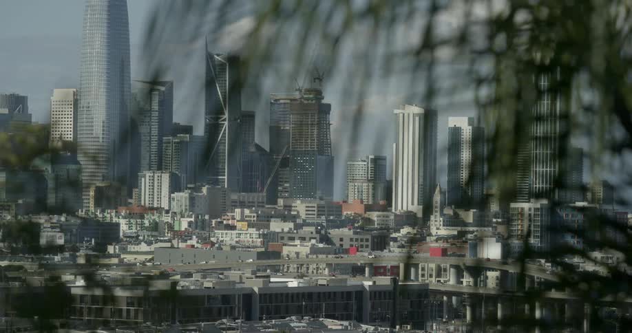 A large city skyline