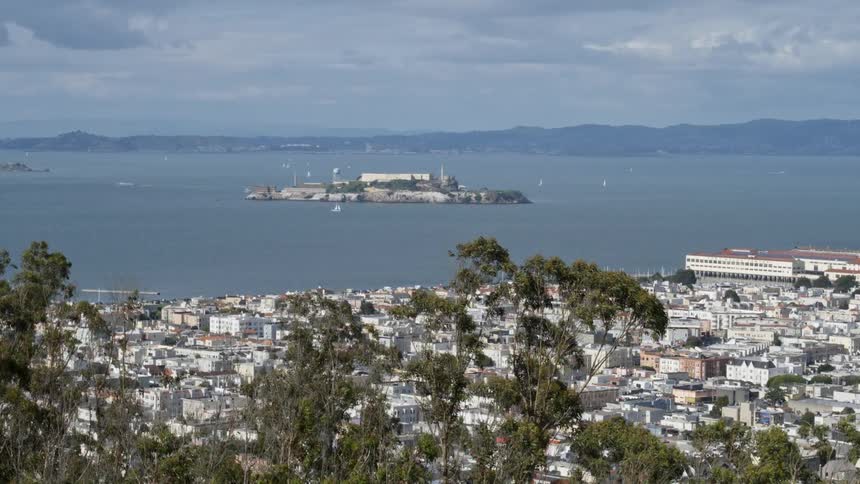 The wind blows the trees overlooking the coastal city and ocean