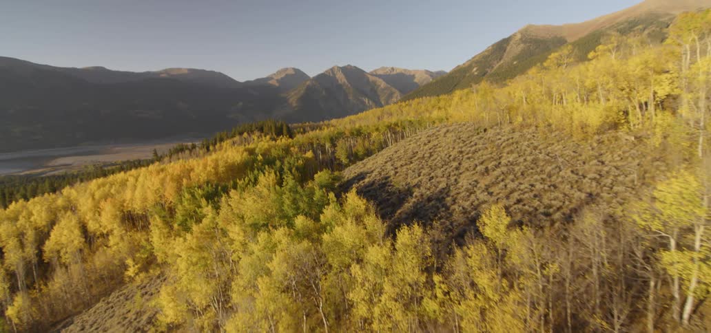 Fall foliage covers a mountainside