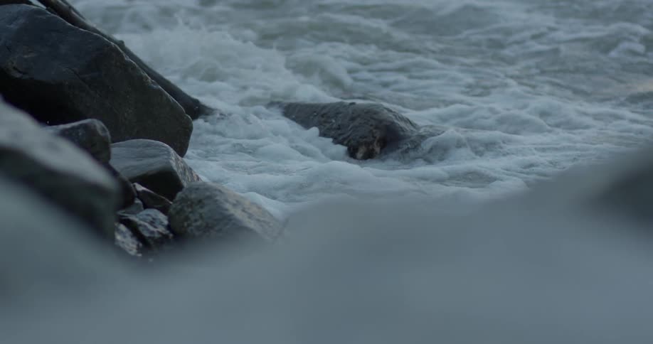 Waves are crashing on some rocks