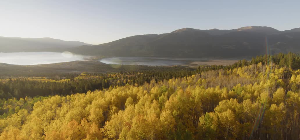 Fall foliage covers a mountainside