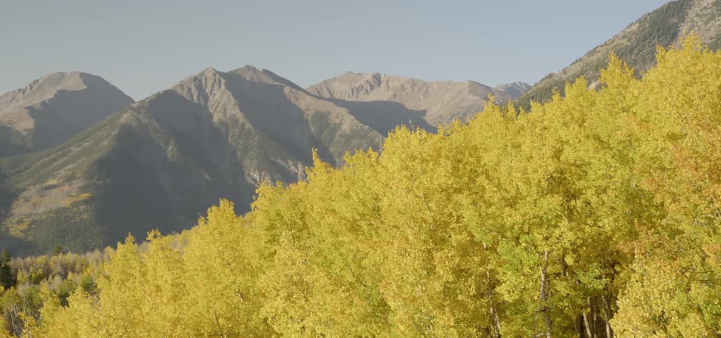 Fall foliage covers a mountainside