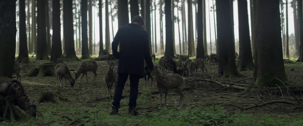 A man watches a herd grazing and holds his hand out to a deer