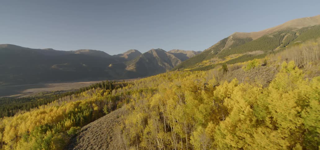 Fall foliage covers a mountainside