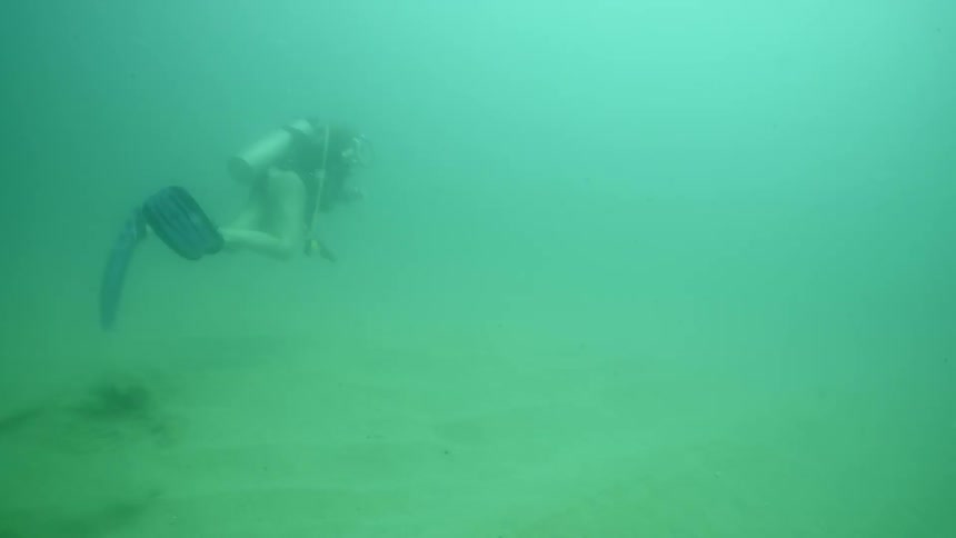 A woman is scuba diving in the murky water