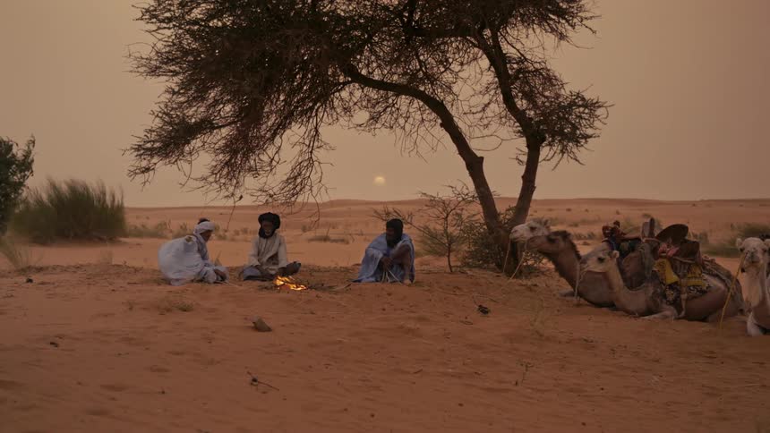 Three men sitting under a tree in the desert
