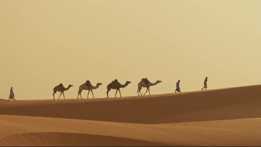 People lead a pack of camels across a desert