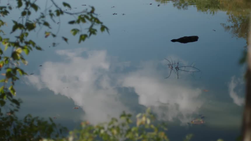 Clouds are reflected on a calm lake