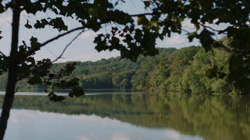 A lake surrounded by trees