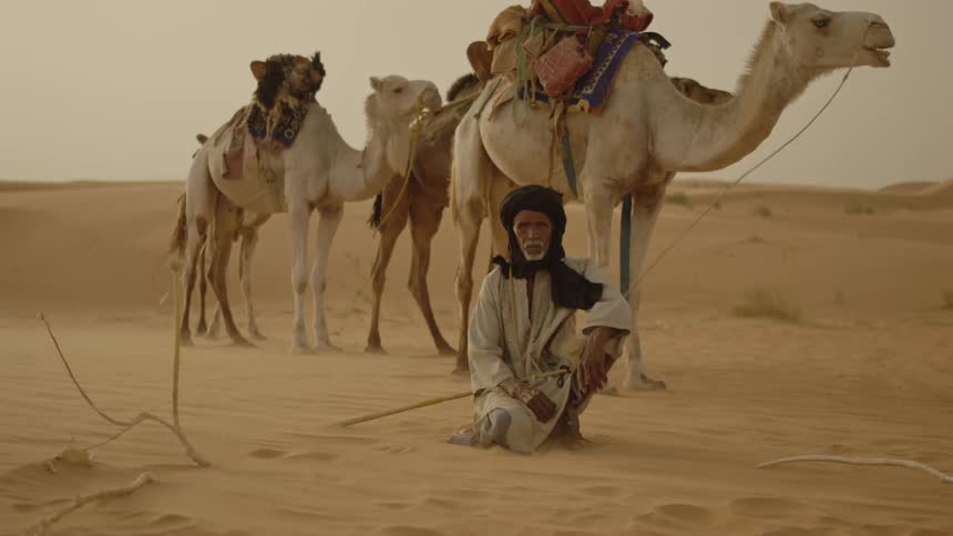 A man sits beside camels in the desert