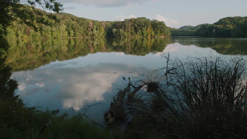The water in the lake is still by the trees