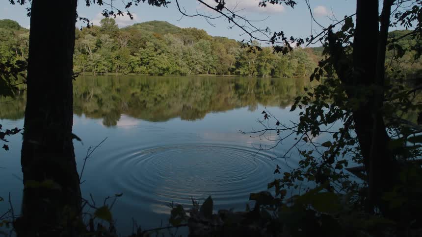 A rock is thrown into a still lake