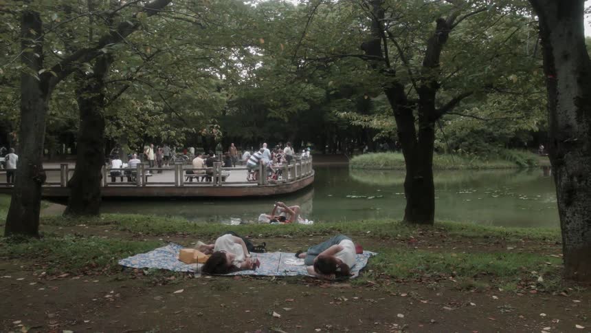 People lying on a blanket in a park